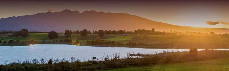 Read more about the article Customer Story: Waipā District Council